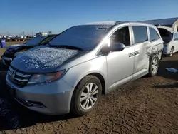 Salvage cars for sale at Brighton, CO auction: 2016 Honda Odyssey SE