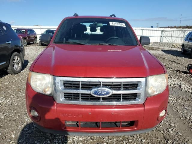 2011 Ford Escape XLT