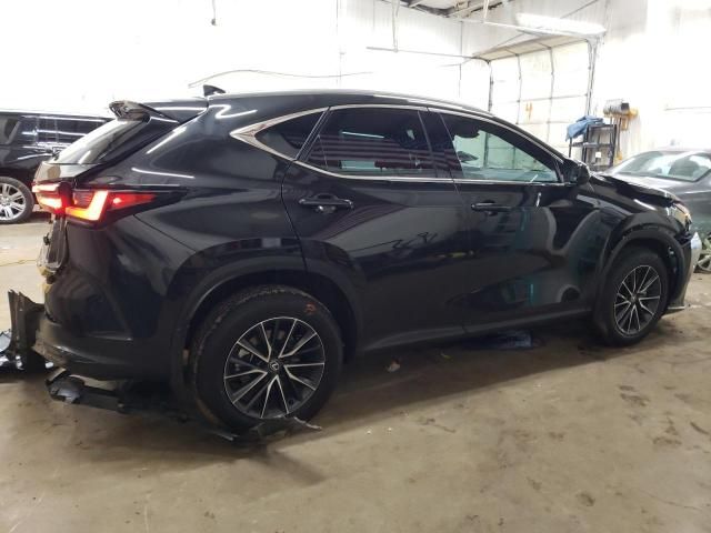 2025 Lexus NX 350H Base