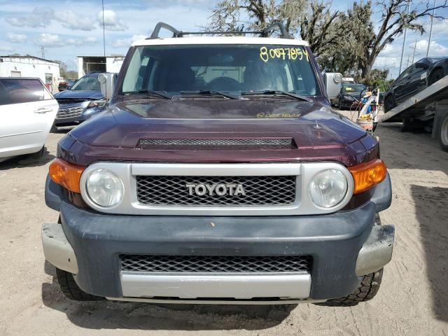 2007 Toyota FJ Cruiser