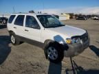 2006 Ford Escape XLT