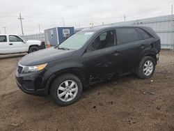 Salvage cars for sale at Greenwood, NE auction: 2013 KIA Sorento LX