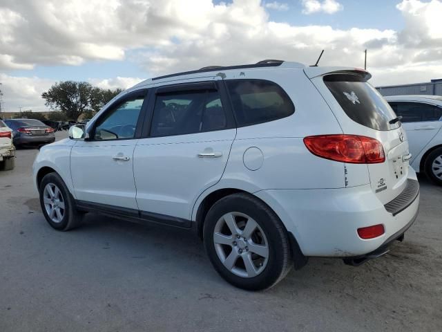 2009 Hyundai Santa FE SE