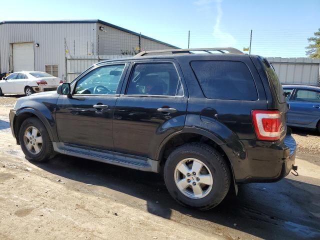 2009 Ford Escape XLT