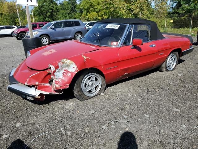 1986 Alfa Romeo Veloce 2000 Spider