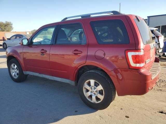 2009 Ford Escape Limited