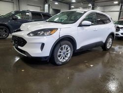 Salvage cars for sale from Copart Ham Lake, MN: 2020 Ford Escape SE