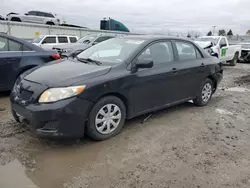 Salvage cars for sale at Dyer, IN auction: 2010 Toyota Corolla Base