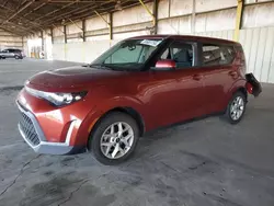 Salvage cars for sale at Phoenix, AZ auction: 2023 KIA Soul LX