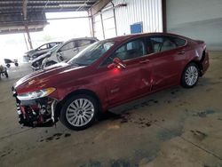 Salvage cars for sale at American Canyon, CA auction: 2015 Ford Fusion Titanium Phev