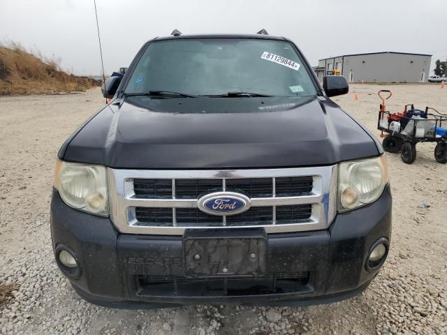 2011 Ford Escape XLT