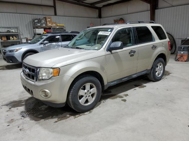 2011 Ford Escape XLT