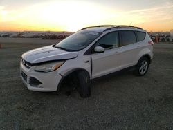 Ford salvage cars for sale: 2013 Ford Escape SE