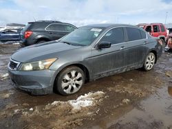 2010 Honda Accord LXP en venta en Brighton, CO