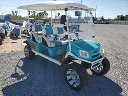 Salvage trucks for sale at Riverview, FL auction: 2019 Other Golf Cart