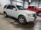 2009 Ford Escape Limited