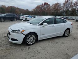 Vehiculos salvage en venta de Copart North Billerica, MA: 2015 Ford Fusion SE Hybrid