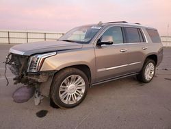 Cadillac salvage cars for sale: 2019 Cadillac Escalade Platinum