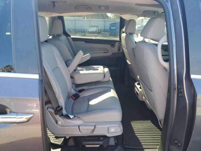 2024 Honda Odyssey EXL