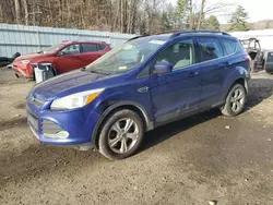 Lotes con ofertas a la venta en subasta: 2013 Ford Escape SE