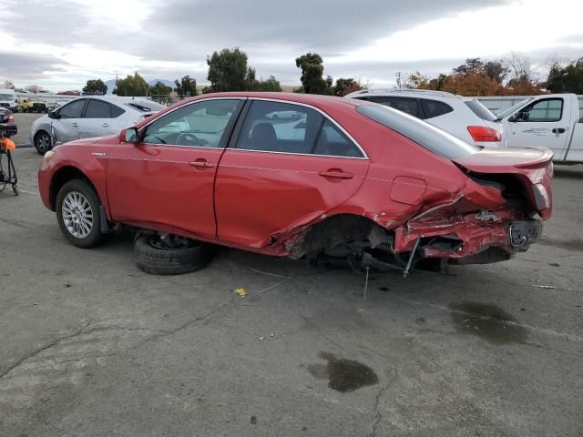 2009 Toyota Camry Hybrid