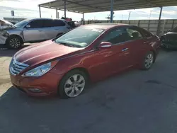 Salvage cars for sale at Anthony, TX auction: 2013 Hyundai Sonata SE