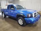 2007 Dodge Dakota SLT