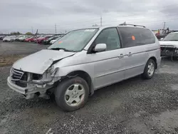 Salvage cars for sale at Eugene, OR auction: 2004 Honda Odyssey EXL