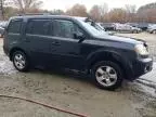 2009 Honda Pilot EXL