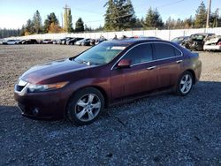 Acura tsx salvage cars for sale: 2010 Acura TSX