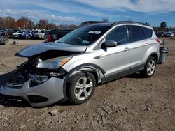 Ford Escape salvage cars for sale: 2016 Ford Escape SE