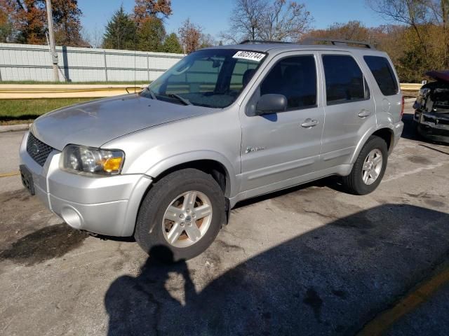 2007 Ford Escape HEV