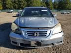 2008 Honda Odyssey EXL