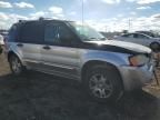 2003 Ford Escape XLT