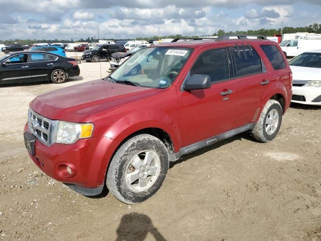 2011 Ford Escape XLT