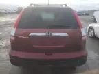 2007 Honda CR-V EXL