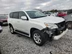 2013 Lexus GX 460