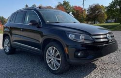 Volkswagen Vehiculos salvage en venta: 2013 Volkswagen Tiguan S