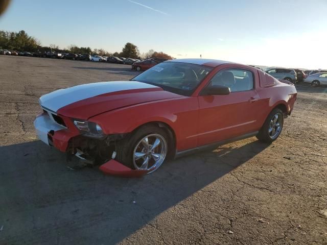 2010 Ford Mustang