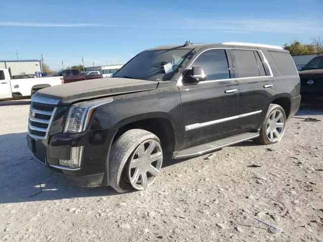 2019 Cadillac Escalade Luxury