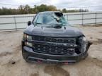 2019 Chevrolet Silverado K1500 Trail Boss Custom