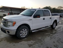 Salvage trucks for sale at Florence, MS auction: 2013 Ford F150 Supercrew