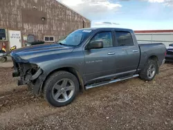 Salvage trucks for sale at Rapid City, SD auction: 2012 Dodge RAM 1500 SLT