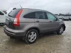 2010 Honda CR-V EXL