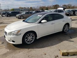 2011 Nissan Maxima S en venta en Louisville, KY