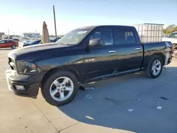 Dodge ram 1500 Vehiculos salvage en venta: 2009 Dodge RAM 1500