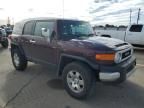 2007 Toyota FJ Cruiser