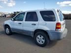 2007 Ford Escape XLS