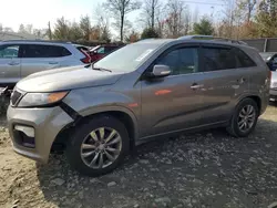 Salvage cars for sale at Waldorf, MD auction: 2013 KIA Sorento SX