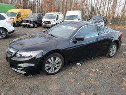 Honda Accord exl salvage cars for sale: 2011 Honda Accord EXL